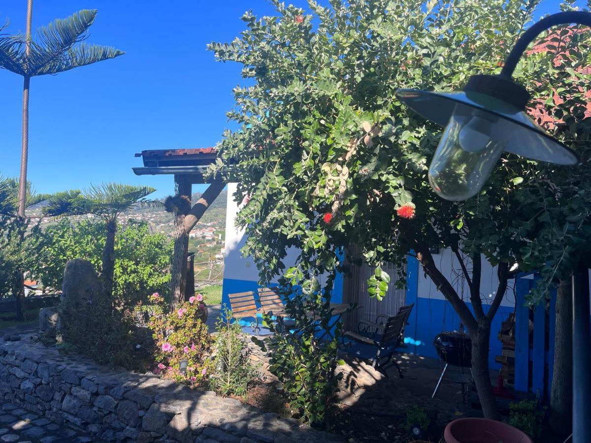 Lucky Lemons - Boutique Madeira - 2 Holiday home