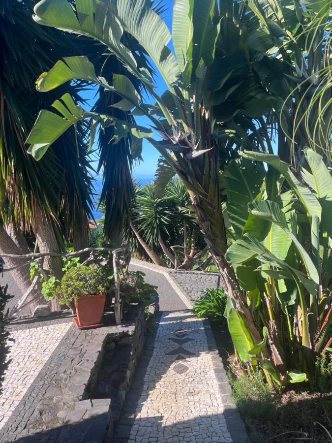 Lucky Lemons - Boutique Madeira - 2 * Estreito Da Calheta