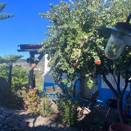 Lucky Lemons - Boutique Houses Madeira - 2 Estreito Da Calheta Esterno foto